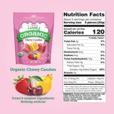 gluten free candy organic candy fruit chews 