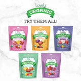 gluten free candy organic candy fruit chews 