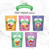 gluten free candy organic candy organic original hard candies