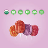 gluten free candy organic candy organic lollipops