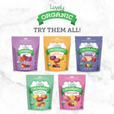 gluten free candy organic candy organic lollipops