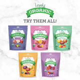 gluten free organic candy vegan nongmo