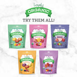 gluten free candy organic candy organic original hard candies